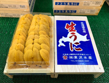 Load image into Gallery viewer, JP Uni Hadate uni (premium Kita Murasaki) 300G/TR *PRE-ORDER ONLY*