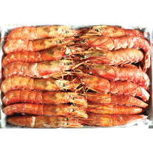 Load image into Gallery viewer, Frozen Aka Ebi (Red Shrimp) Box 4.4 LB