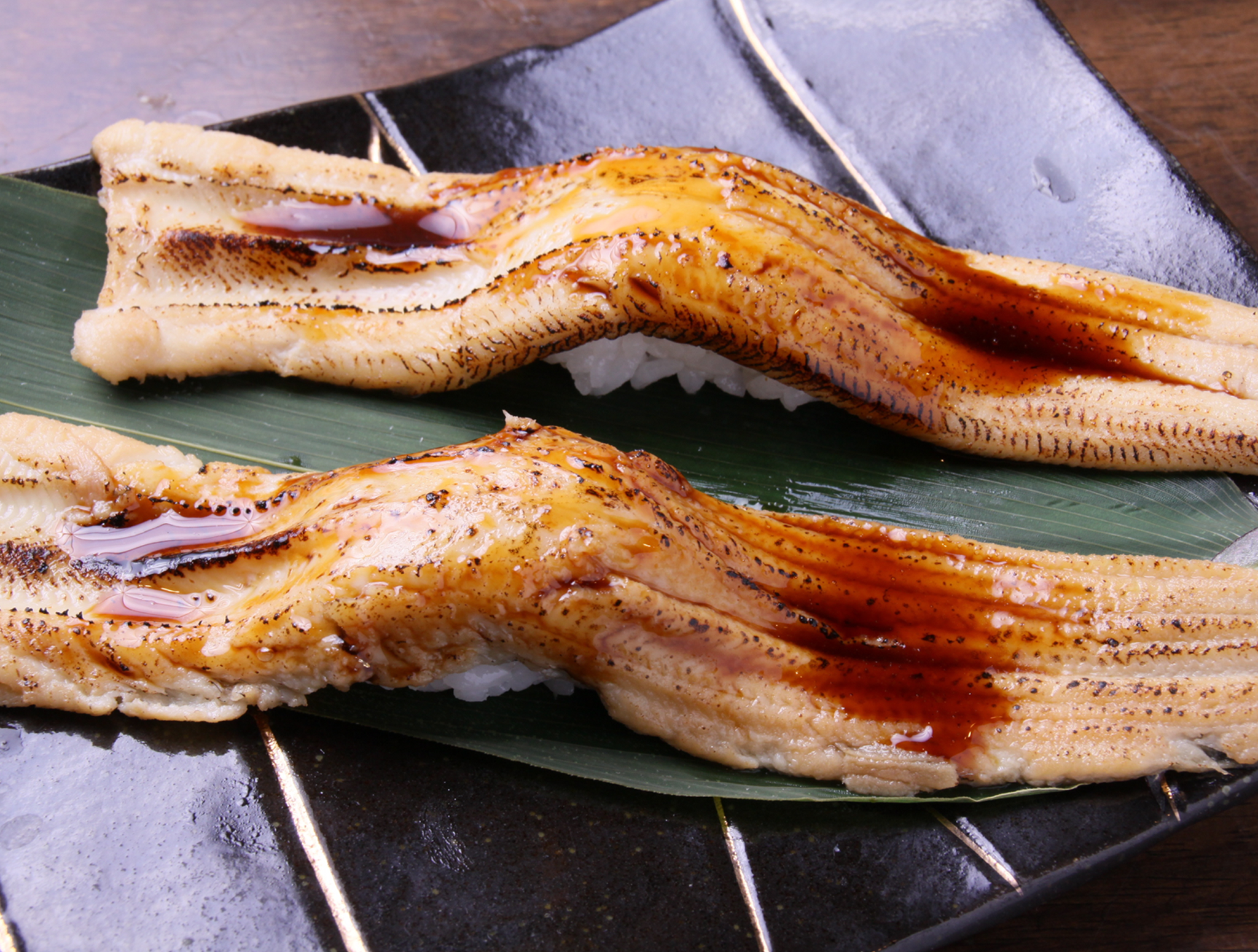 Anago Eel