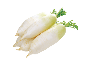 Daikon(Radish) PC