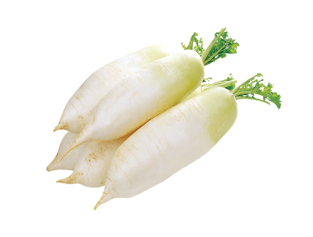 Daikon(Radish) PC