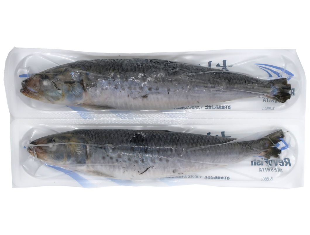 FZ Otoro Iwashi XL (Sardine) Sashimi Quality 1PC/PK