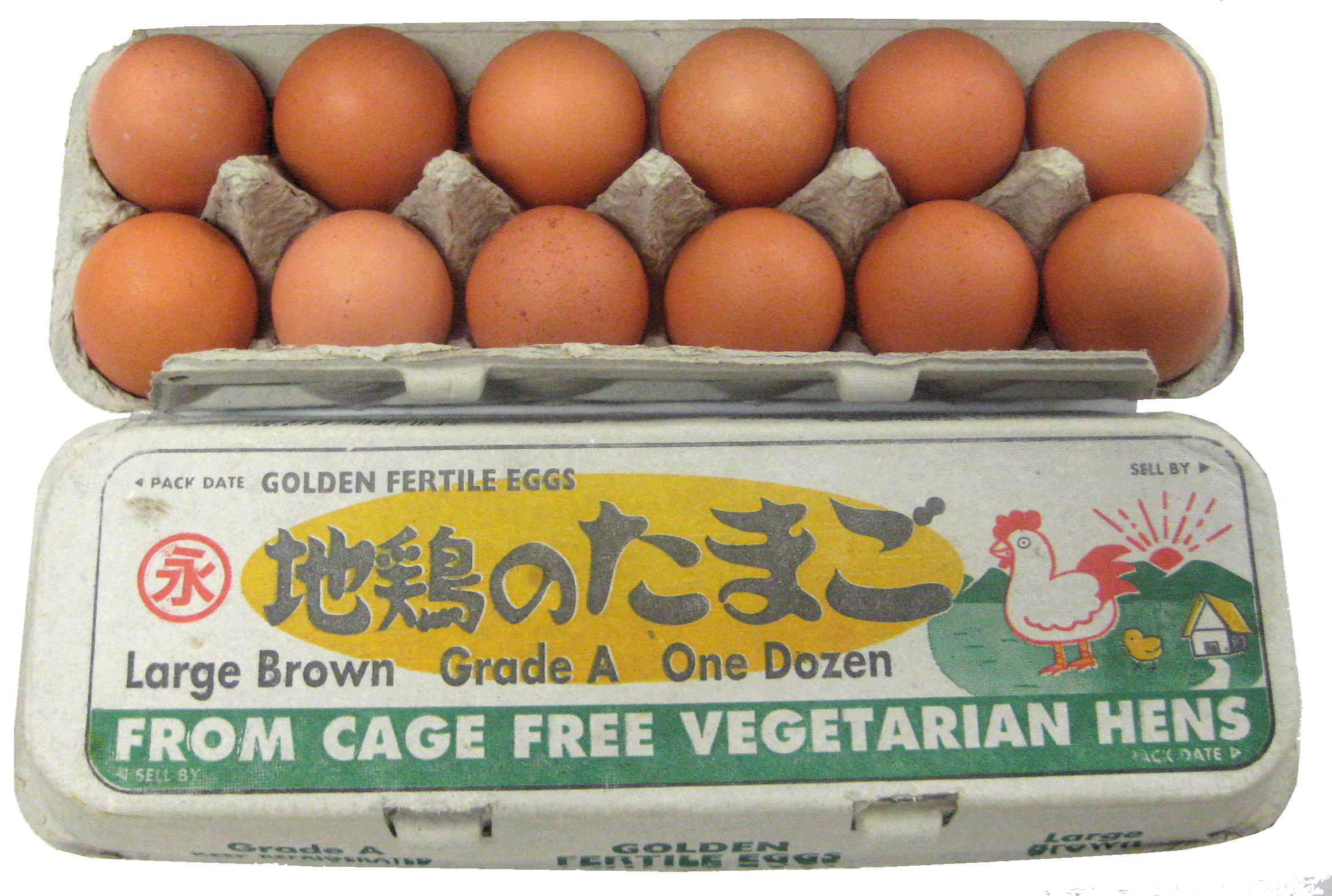 Fertile chicken eggs -  Italia