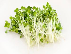 Kaiware(Sprouted Radish Seeds) PK