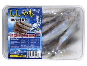 FZ Shishamo Female 400G/PK