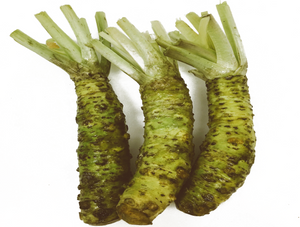 Fresh Japanese Wasabi 0.2~0.5LB/PK *PRE-ORDER ONLY*