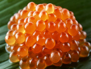 Frozen Ikura Chum (Salmon Roe) 2.2LB